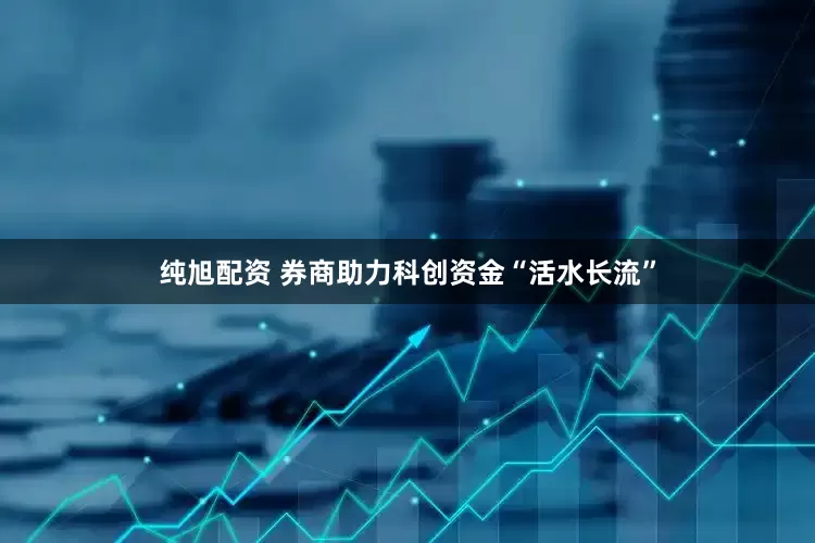 纯旭配资 券商助力科创资金“活水长流”