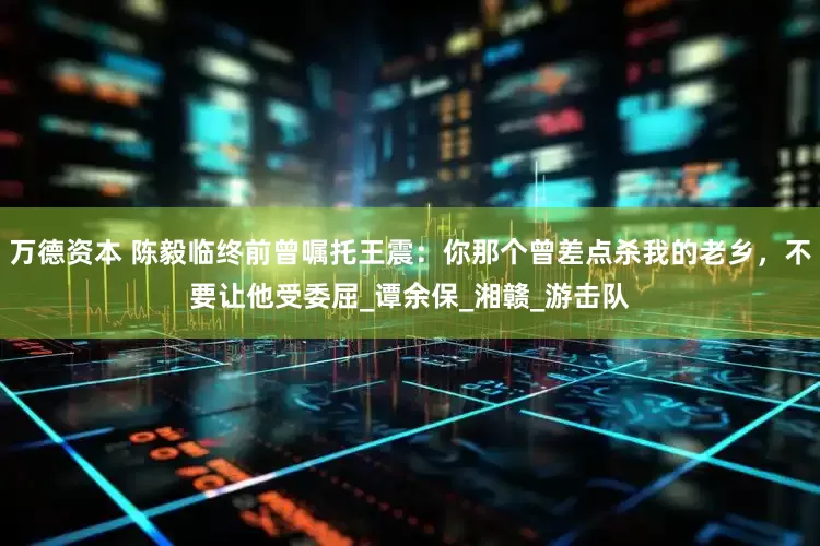 万德资本 陈毅临终前曾嘱托王震：你那个曾差点杀我的老乡，不要让他受委屈_谭余保_湘赣_游击队