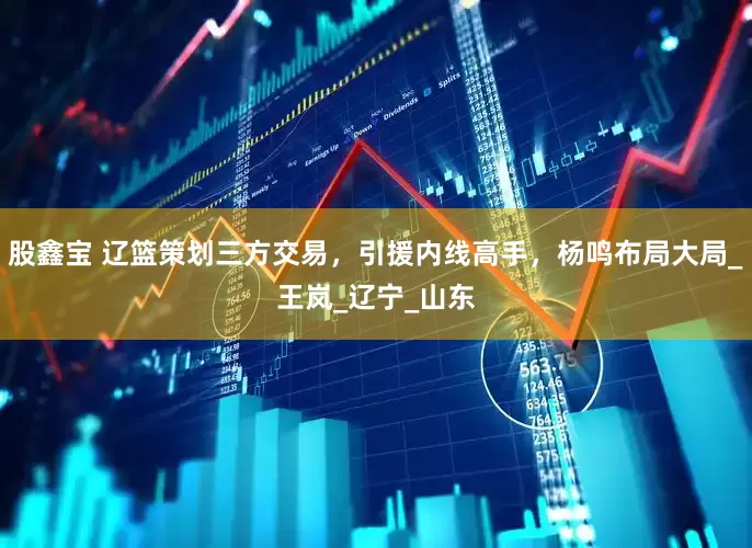 股鑫宝 辽篮策划三方交易，引援内线高手，杨鸣布局大局_王岚_辽宁_山东